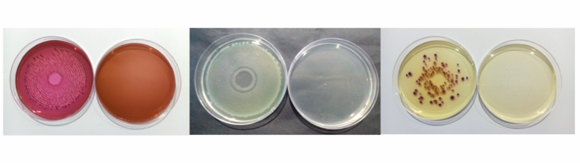 Can the Supertowel be used for water purification?